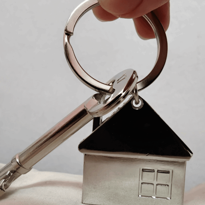 investissement en nue-propriété